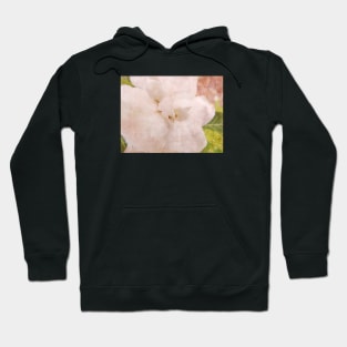 Gardenia Ecstasy Hoodie